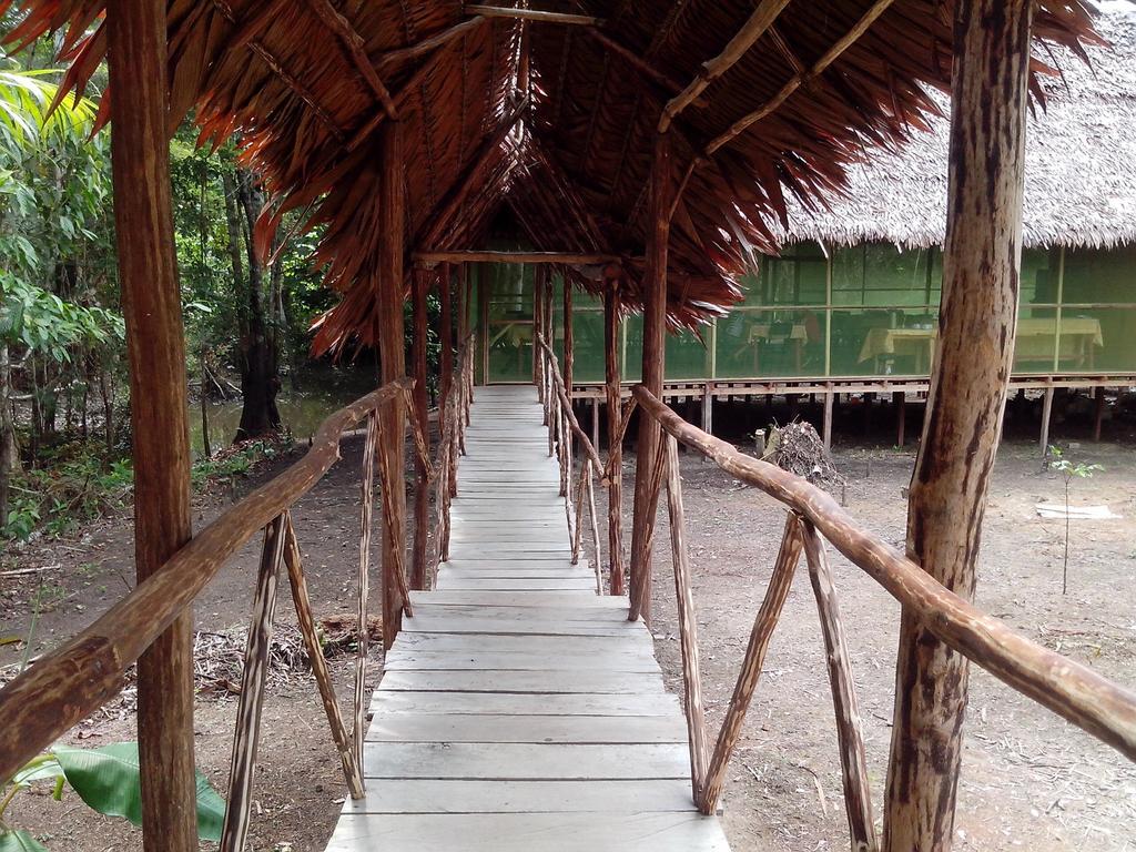 Amazon Queen Lodge Масан Номер фото