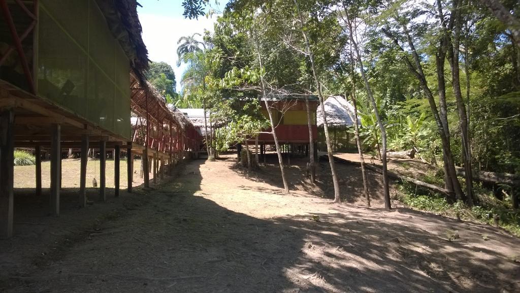 Amazon Queen Lodge Масан Номер фото