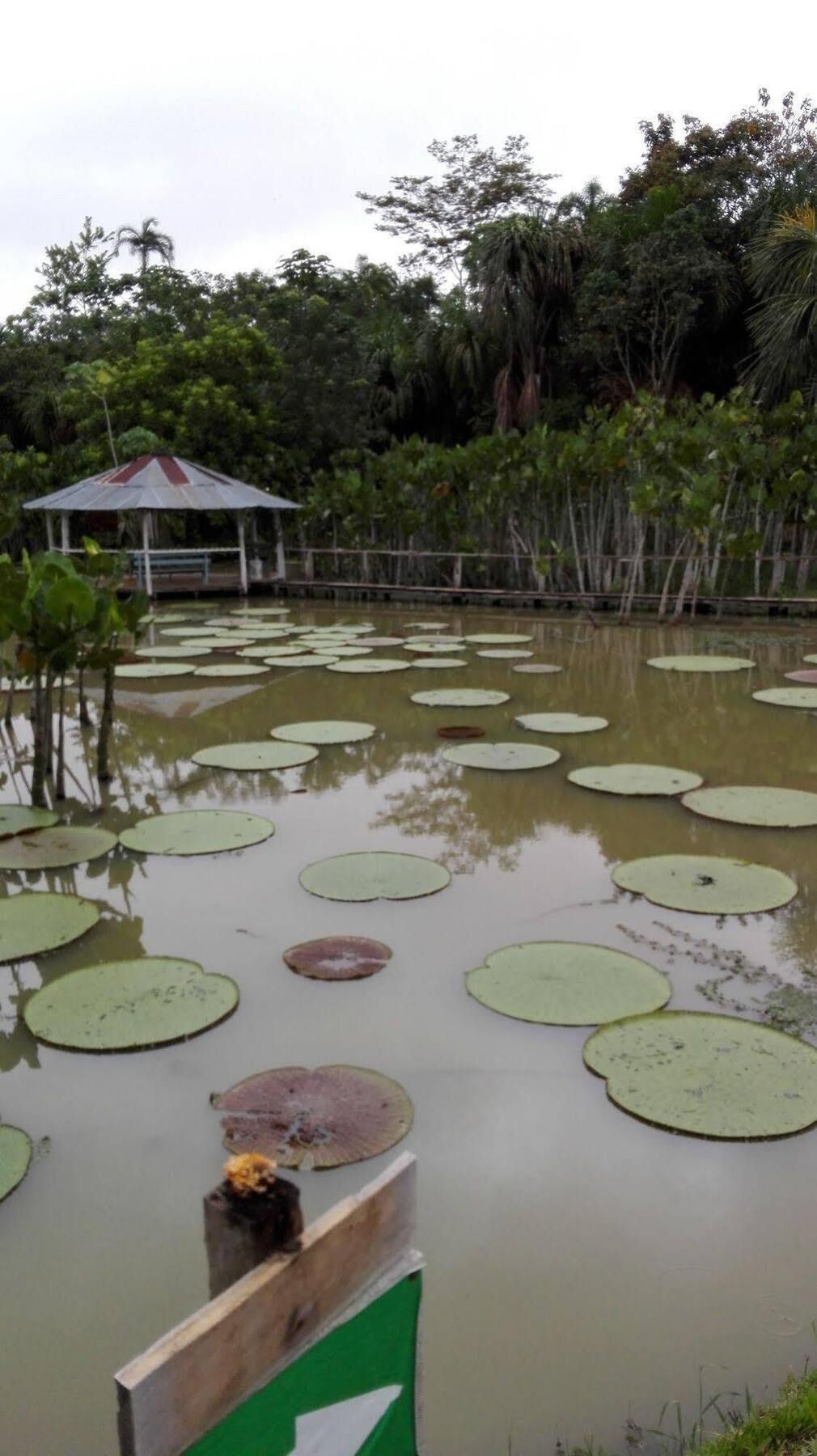 Amazon Queen Lodge Масан Экстерьер фото